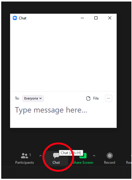 screenshot of Zoom chat icon